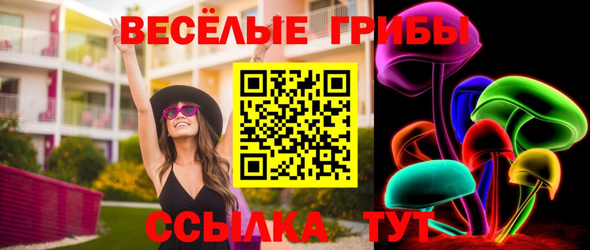 Галлюциногенные грибы Cubensis Шебекино
