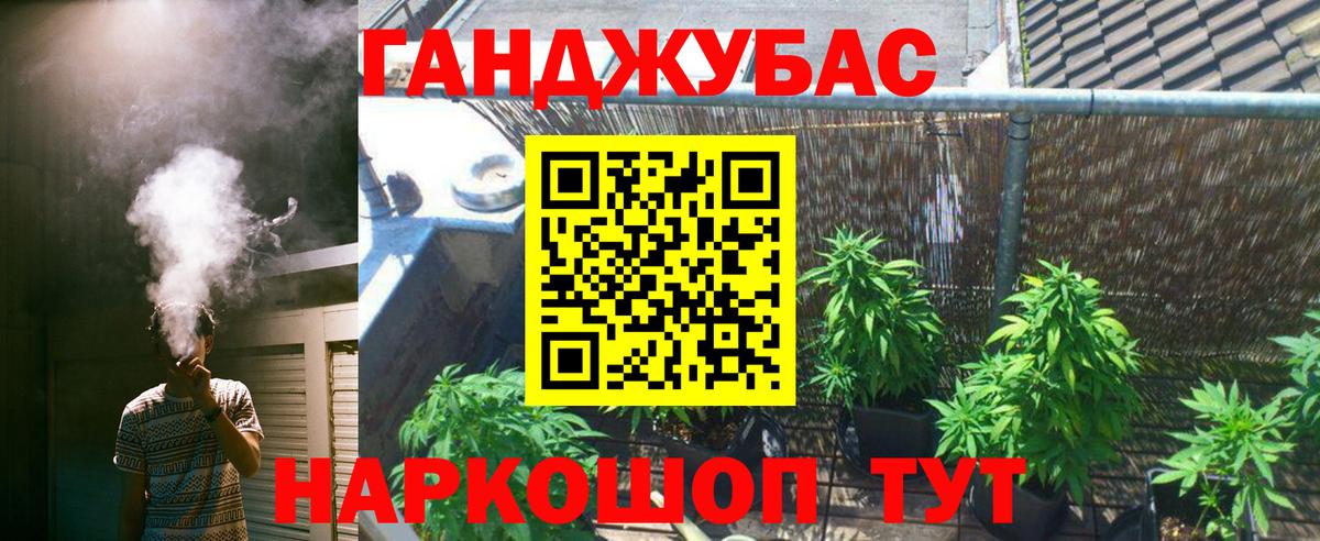 Канабис Bruce Banner  Бошки Шишки тримм  Вход с VPN  Шебекино  Каннабис OG Kush 